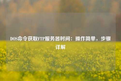DOS命令获取FTP服务器时间:操作简单,步骤详解