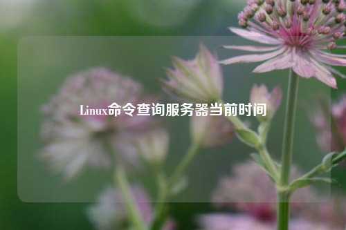 Linux命令查询服务器当前时间