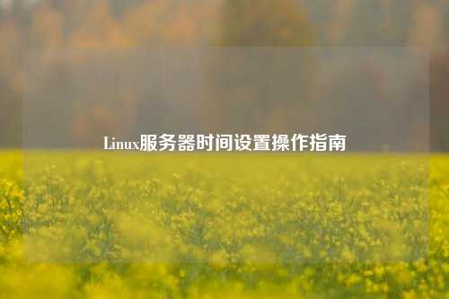 Linux服务器时间设置操作指南