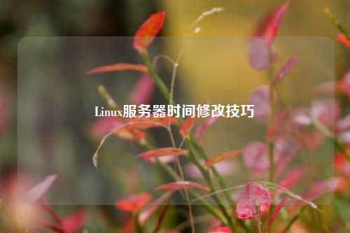 Linux服务器时间修改技巧