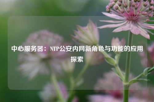 中心服务器：NTP公安内网新角色与功能的应用探索
