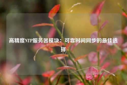 高精度NTP服务器模块：可靠时间同步的最佳选择