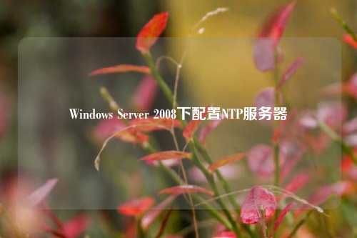 Windows Server 2008下配置NTP服务器