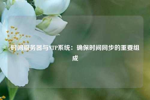 时间服务器与NTP系统：确保时间同步的重要组成