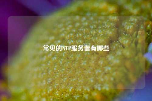 常见的NTP服务器有哪些