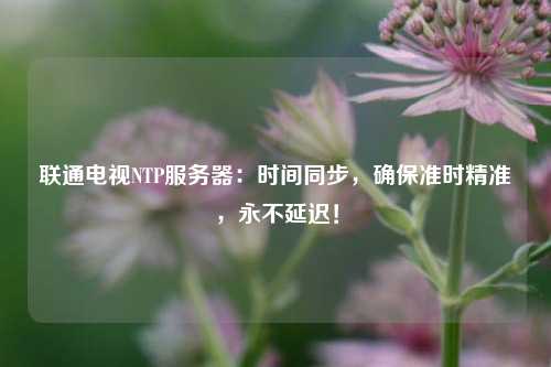 联通电视NTP服务器：时间同步，确保准时精准，永不延迟！