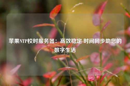 苹果NTP校时服务器：高效稳定 时间同步助您的数字生活