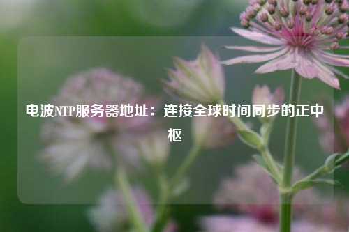 电波NTP服务器地址：连接全球时间同步的正中枢