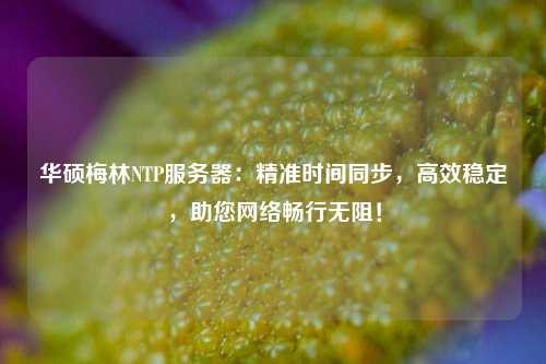 华硕梅林NTP服务器：精准时间同步，高效稳定，助您网络畅行无阻！