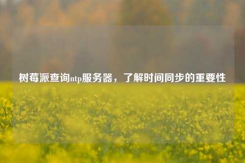 树莓派查询ntp服务器，了解时间同步的重要性