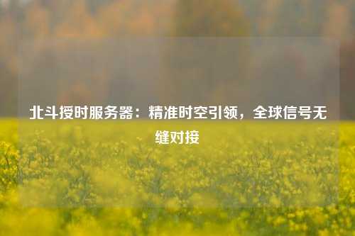 北斗授时服务器：精准时空引领，全球信号无缝对接