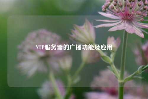 NTP服务器的广播功能及应用