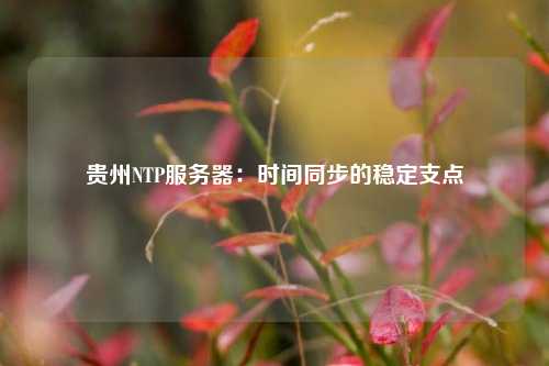 贵州NTP服务器：时间同步的稳定支点