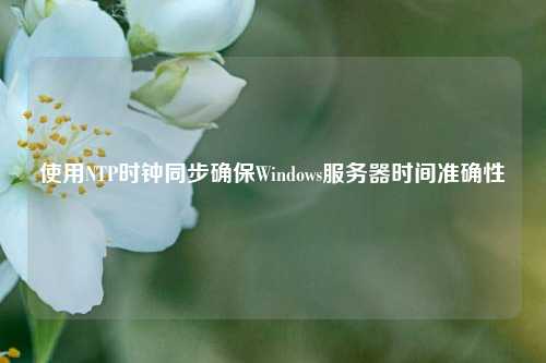 使用NTP时钟同步确保Windows服务器时间准确性