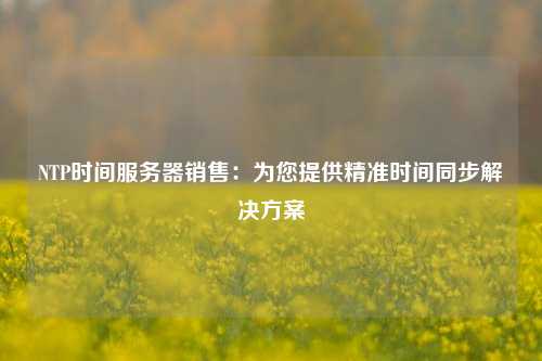 NTP时间服务器销售：为您提供精准时间同步解决方案