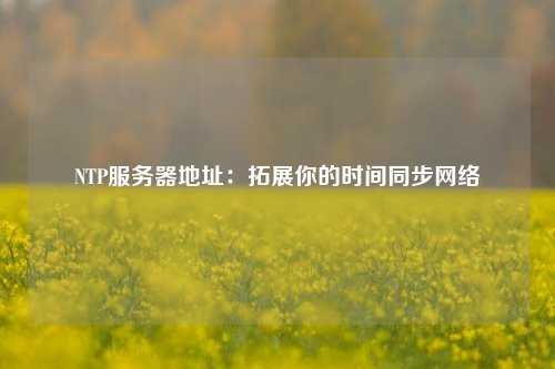 NTP服务器地址：拓展你的时间同步网络