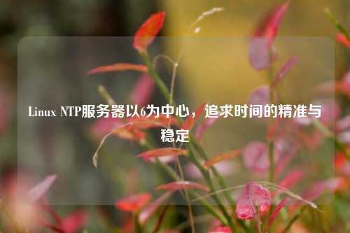 Linux NTP服务器以6为中心，追求时间的精准与稳定