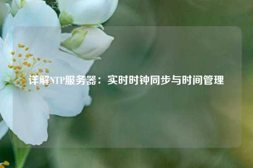 详解NTP服务器：实时时钟同步与时间管理