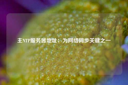 主NTP服务器地址：为网络同步关键之一