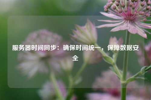 服务器时间同步：确保时间统一，保障数据安全