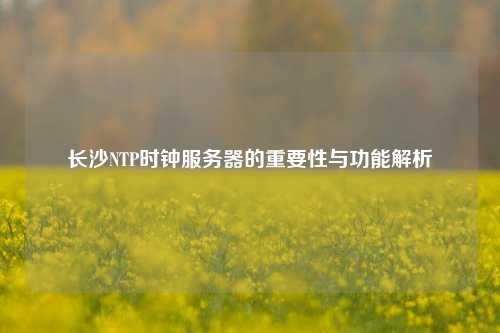 长沙NTP时钟服务器的重要性与功能解析