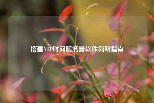搭建NTP时间服务器软件简明指南