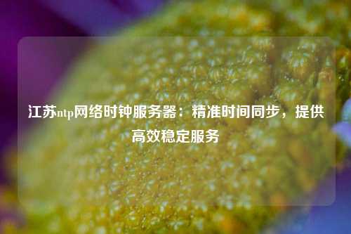 江苏ntp网络时钟服务器：精准时间同步，提供高效稳定服务