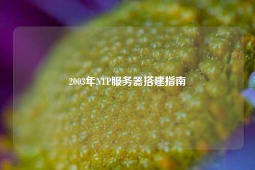 2003年NTP服务器搭建指南