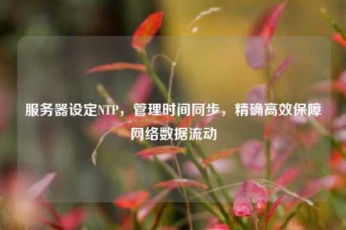 服务器设定NTP，管理时间同步，精确高效保障网络数据流动